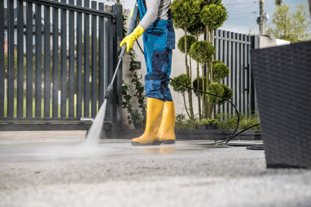 Best Window and Screen Pressure Cleaning in Fountainebleau, FL